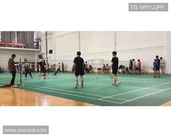 武汉羽毛球队的节奏与风采：聚焦羽毛球运动的魅力与发展